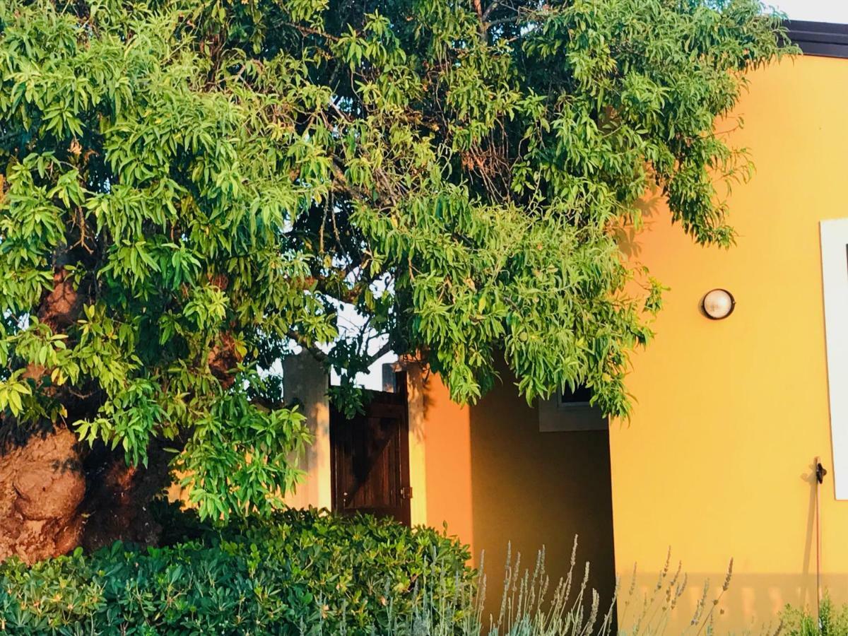 Arcobaleno Di San Lorenzo Villa Noto Buitenkant foto